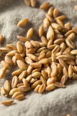 Raw Organic Farro Grain