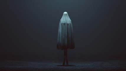 Standing Evil Spirit Ghost with Crossed Legs and Hands by Her Sides in a Death Shroud Sheet in a Foggy Void Front View 3d Illustration 3d Rendering