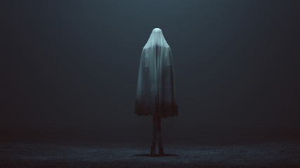 Standing Evil Spirit Ghost with Crossed Legs and Hands by Her Sides in a Death Shroud Sheet in a Foggy Void Back View 3d Illustration 3d Rendering