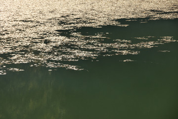 autumn leaves reflecting in water