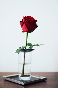 A single red rose in a glass with water on a tray