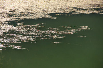 autumn leaves reflecting in water