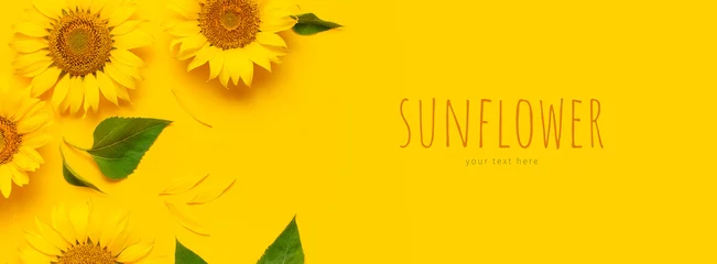 Poster Beautiful fresh sunflowers on bright yellow background. Flat lay, top view, copy space. Autumn or summer Concept, harvest time, agriculture. Sunflower natural background. Flower card © olgaarkhipenko