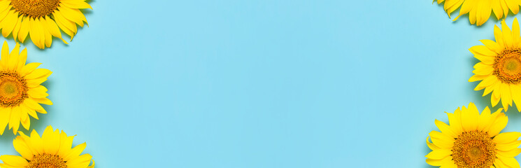 Frame from beautiful fresh sunflowers on blue background. Flat lay, top view, copy space. Autumn or summer Concept, harvest time, agriculture. Sunflower natural background. Flower card