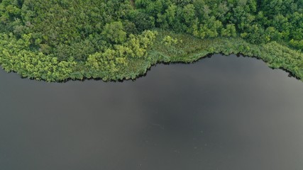Salzsee mit Str&auml;uchern