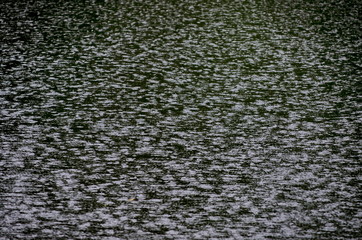 Obraz premium Interesting natural background of water with partial focus and reflection at artificial lake on a rainy day in rila park near town Dupnitsa, Bulgaria