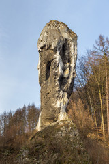Maczuga Herkulesa, tall limestone stack, Suloszowa, Poland. - obrazy, fototapety, plakaty
