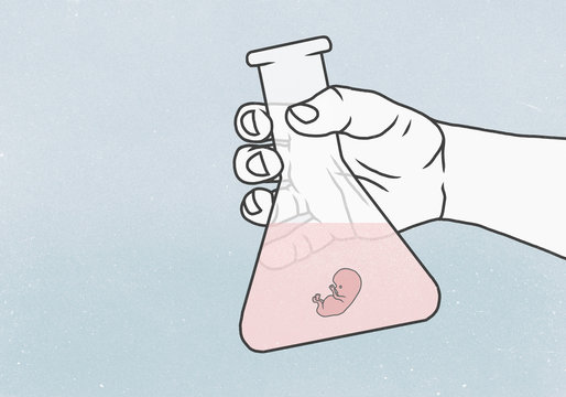 Detail of hand holding conical flask containing human embryo in liquid