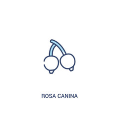 rosa canina concept 2 colored icon. simple line element illustration. outline blue rosa canina symbol. can be used for web and mobile ui/ux.