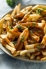 Homemade American Gravy Fries