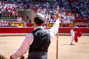 Picador bullfighter on horseback in Pamplona bullring, Spain