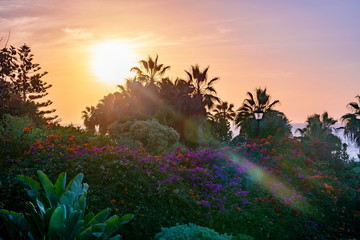 Obraz premium Sunset in Puerto de la Cruz, Canary islands, Tenerife, Spain