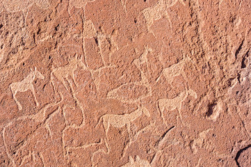 6000 year old rock carvings of animals at Twyfelfontein, Namibia