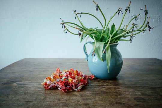 Dead flower petals next to stems in vase