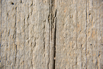 Fototapeta premium wooden texture background