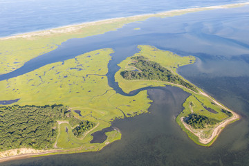 A healthy salt marsh grows in Pleasant Bay, Cape Cod, Massachusetts. This type of marine habitat serves as a nursery for fish and invertebrates and a feeding ground for many species of bird.
