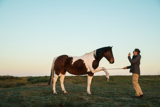 Woman training brown and white horse in rural field