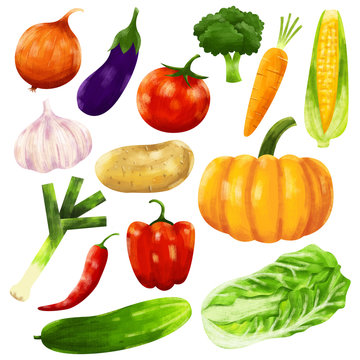 Set of Vegetable illustration in digital painting or hand draw cartoon style, raw vegetable, Fresh vegan veggies. Vegetable illustrations for advertising products, magazines, restaurant, market.