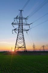 High voltage lines and power poles and green agricultural landscape during sunrise.