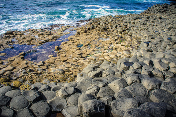 Giant's Causeway Northern Ireland 