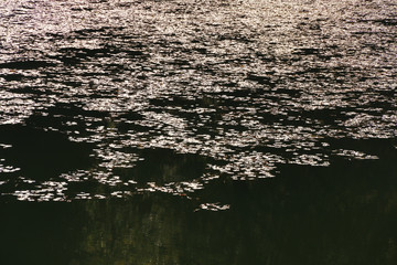 autumn leaves reflecting in water