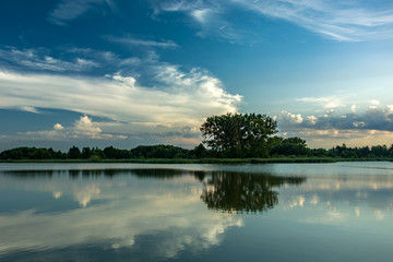 Trees on the shore and reflection of clouds in the water