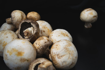 mushrooms on black background