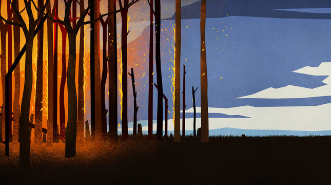 Forest fire burning trees at night