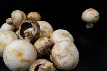 mushrooms on black background