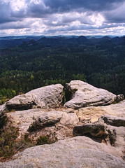 Fototapeta na wymiar Beech forest with sandstone rock outcrops in springtime.