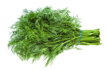 big bunch of fresh green dill herb isolated