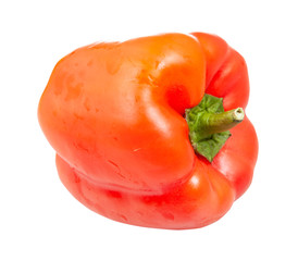 ripe fruit of red bell pepper isolated
