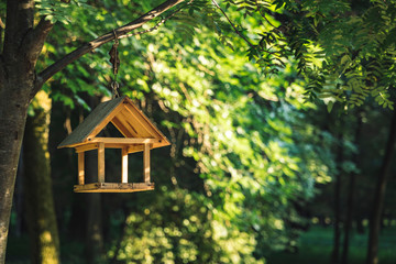 animal care concept wallpaper pattern photography with empty space for copy or text, bird feeder hanging on a tree branch in park, unfocused natural background 