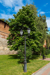 Fototapeta na wymiar Large chestnut in Kremlin in Nizhniy Novgorod, Russia