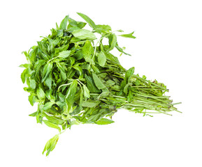 big bunch of fresh green mint isolated on white