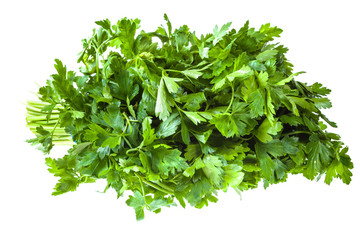 big bunch of fresh green parsley herb isolated