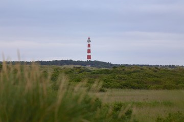 Fototapeta na wymiar Leuchtturm Ameland in den Dünen