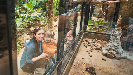 Naklejka na ściany i meble the family at the zoo look at the animals through a safety glass