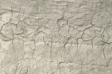 green grunge shabby damaged plaster texture - fantastic abstract photo background