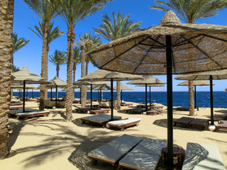 Beach at the luxury hotel with lots of beach umbrellas and lounger , Sharm el Sheikh, Egypt