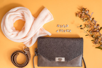 Autumn Arrives. Fashion Lady Clothes Set. Trendy Cozy Knit Jumper. Stylish Handbag Clutch, Vintage....