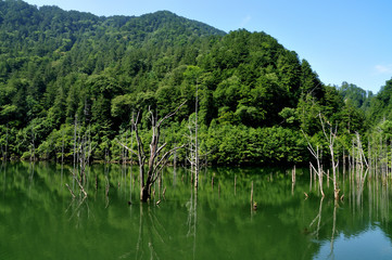 Fototapeta premium 自然湖