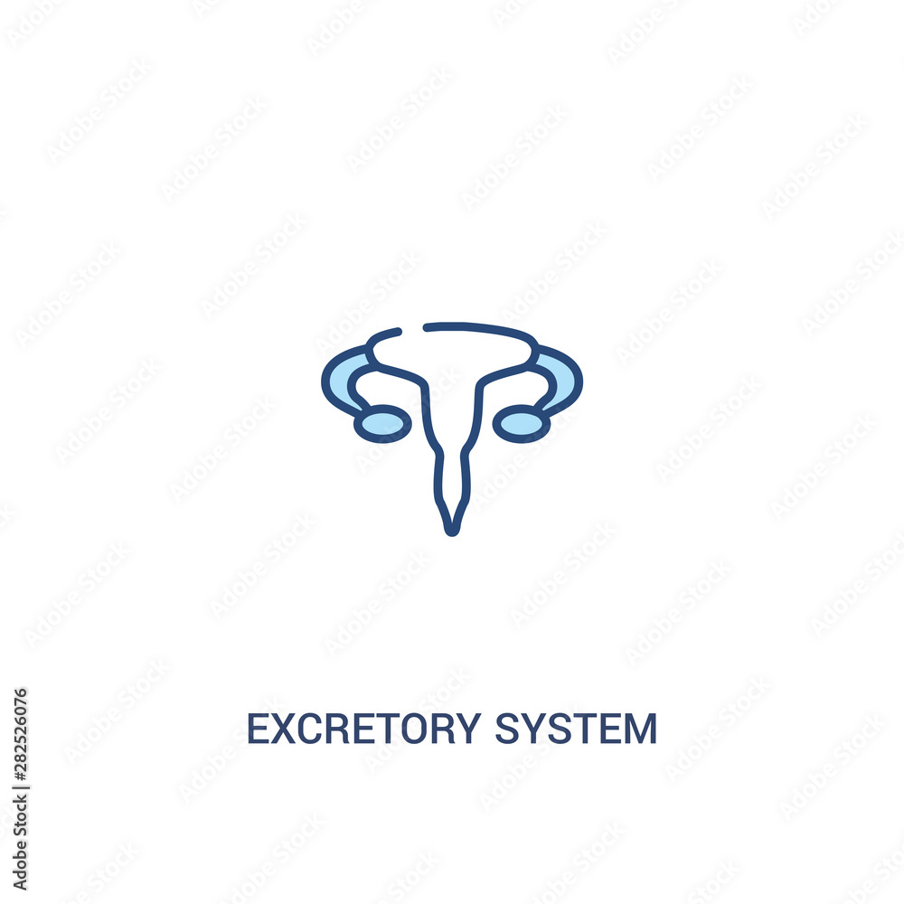 Poster excretory system concept 2 colored icon. simple line element illustration. outline blue excretory sy