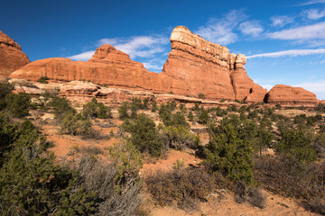 Fototapeta premium Unique Red Rock Shapes in the Needles District of Canyonlands National Park, Utah.
