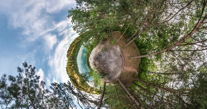 NO VR. Little planet Transformation with curvature of space. Abstract torsion and spinning of full flyby panorama with rise up into the sky in pinery forest.  falling drone