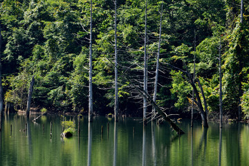 大滝村自然湖