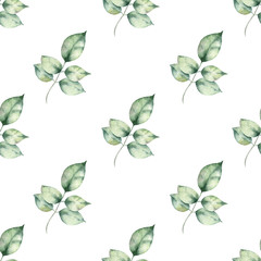 Fototapeta premium Watercolor hand painted seamless pattern of green leaves and branches.