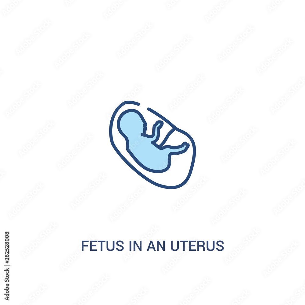 Poster fetus in an uterus concept 2 colored icon. simple line element illustration. outline blue fetus in a