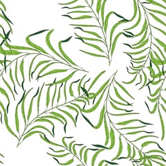Tropical leaves on white background. Summer bright background.