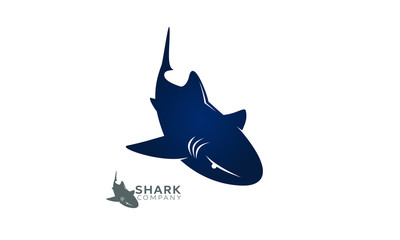 Logo design concept of blue swimming shark